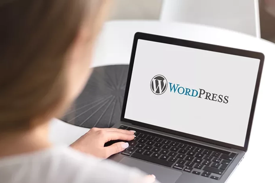 Five reasons why WordPress can be a nightmare